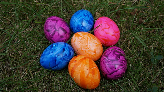 uovo, colorato, Pasqua, uova di Pasqua, uova colorate, colore, uova sode, uova di gallina, nido di Pasqua, stagione, multicolore, uovo di Pasqua, cibo, uova, decorazione, primavera, erba, natura, cibo e bevande, pianta, celebrazione, nessuno, terra, campo, vista dall'alto, avvicinamento, viola, vacanza - evento, gruppo di oggetti, giorno, all'aperto, 5K, CC0, dominio pubblico, privo di copyright