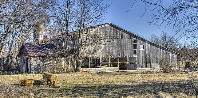 fienile, rustico, fienili, Ohio, arte digitale, rurale, panoramico, nazione, campagna, scenario, capannone, capannoni, azienda agricola, aziende agricole, agricoltura, agricolo, agriturismo, champagne, contea, americana, foto, fotografia, struttura, strutture, Sturgell, William Sturgell, Bill Sturgell, storico, Home decor, edifici, nuvole, cielo, albero, alberi, nuvoloso, cieli, erbacce, contea di champagne, urbana, struttura costruita, architettura, esterno dell'edificio, albero nudo, pianta, natura, abbandonato, nessuno, storia, scena rurale, costruzione, il passato, corri giù, giorno, paesaggio, legno - materiale, Casa, edificio agricolo, all'aperto, deterioramento, rovinato, 5K, CC0, dominio pubblico, privo di copyright