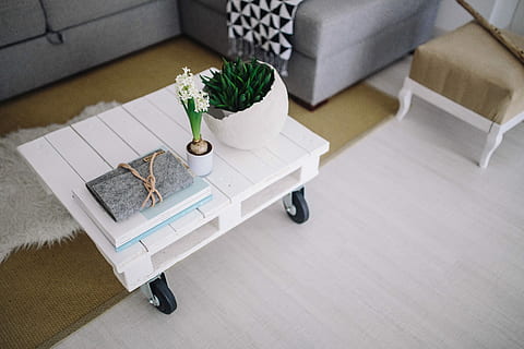 wooden, table, potted, plant, grey, wallet, Small, wooden table, potted plant, magazines, white, wheels, indoors, furniture, decor, living Room, domestic Room, sofa, home Interior, no People, modern, apartment, comfortable, flooring, decoration, architecture And Buildings, homes, residential Building, high angle view, day, chair, seat, coffee table, design, absence, nature, relaxation, 5K