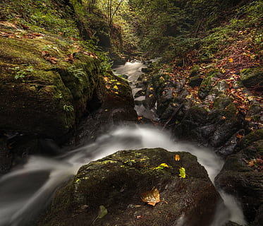 cascade, creek, environment, fall, flow, forest, landscape, leaves, long exposure, moss, motion, mountain, nature, outdoors, rapids, river, rock, scenic, stream, time-lapse, travel, water, woods, scenics - nature, beauty in nature, tree, flowing water, waterfall, plant, rock - object, solid, land, no people, blurred motion, flowing, stream - flowing water, power in nature, rainforest, 5K, CC0, public domain, royalty free