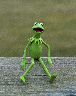 Kermit, frø, muppet, padde, grøn, legetøj, Action figur, barndom, marionet, sidder, lykkelig, smilende, dyr, grøn farve, natur, træ frø, dyreliv, gekko, lille, ingen mennesker, dag, vand, antropomorfe ansigt, repræsentation, menneskelig repræsentation, kreativitet, fokus på forgrunden, Kunst og håndværk, figur, tæt på, mandlig lighed, træ - materiale, 4K, CC0, offentligt domæne, royaltyfrie