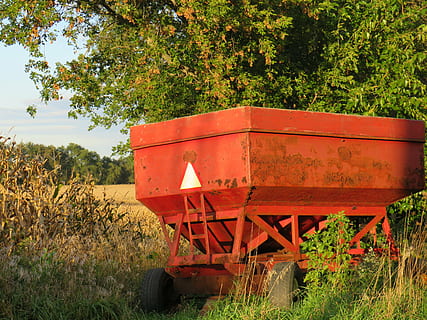 gravità, scatola, Mais, autunno, fagioli, Grano, azienda agricola, vecchio, agricoltura, attrezzatura, rosso, pianta, albero, natura, crescita, terra, nessuno, giorno, campo, colore verde, all'aperto, erba, metallo, scena non urbana, mezzi di trasporto, arrugginito, bellezza nella natura, la tranquillità, modo di trasporto, 5K, CC0, dominio pubblico, privo di copyright