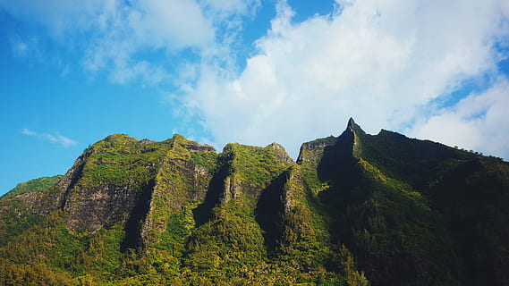 landskabsfoto, græsklædte, bjerg, landskabsfotografering, klippe, Sky, sten-, landdistrikterne, træ, blå himmel, solskin, kyst, Kauai, hawaii, na pali, Napali, ansigt, skygge, himmel, scenics - natur, plante, sky - himmel, skønhed i naturen, miljø, ro, landskab, ingen mennesker, natur, rolig scene, ikke-urbane scene, grøn farve, vækst, dag, jord, lav vinkel visning, idyllisk, udendørs, bjergtop, 4K, CC0, offentligt domæne, royaltyfrie