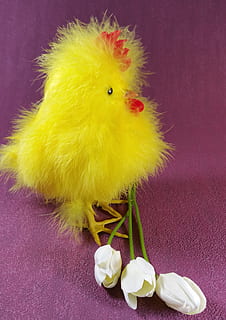 easter, chicks, chicken, hahn, cute, tulips, indoors, bird, celebration, close-up, no people, animal, baby chicken, young bird, representation, yellow, animal representation, flower, flowering plant, livestock, domestic animals, young animal, holiday, chicken - bird, animal themes, flower head, 2K, CC0, public domain, royalty free