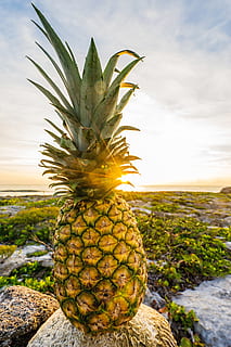 himmel, skyer, klipper, ananas, lyse, tæt på, farver, frugt, udendørs, planter, solflare, tropisk frugt, sund kost, mad og drikke, mad, velvære, friskhed, natur, ingen mennesker, vand, jord, sky - himmel, skønhed i naturen, tropisk klima, hav, 5K, CC0, offentligt domæne, royaltyfrie