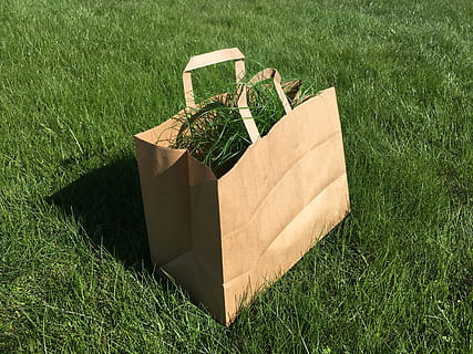 taske, græs, grøn, baggrund, have, uden for, spild, Brun, papir, natur, farve, blad, naturlig, handle ind, forår, sæson, udendørs, pakke, havearbejde, plante, grøn farve, Mark, jord, ingen mennesker, høj vinkel visning, dag, vækst, sollys, skygge, boks, beholder, miljøbeskyttelse, tæt på, solrig, ro, 4K, CC0, offentligt domæne, royaltyfrie