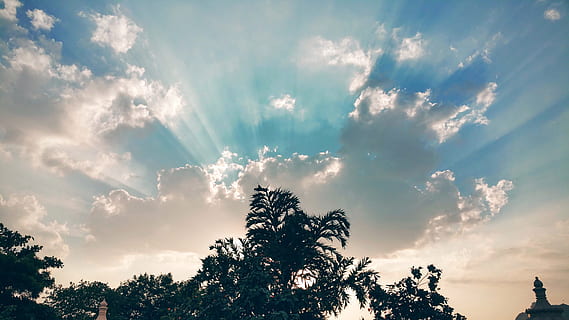 natura, cielo, nuvole, nuvoloso, cielo blu, luminosa, luce del giorno, Paradiso, all'aperto, raggio di sole, panoramico, luce del sole, i raggi del sole, alberi, albero, pianta, nuvola - cielo, bellezza nella natura, la tranquillità, scenics - natura, crescita, scena tranquilla, tramonto, ambiente, blu, nessuno, silhouette, foresta, cima dell'albero, albero di conifere, 5K, CC0, dominio pubblico, privo di copyright