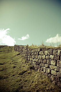 Brun, beton, væg, græsfelt, hadrian mur, monument, strukturer, bygning, krig, kryds montering system, kæmpe, rom, romans, unesco, verdensarv, udendørs, himmel, sky - himmel, natur, Mark, jord, Stenmur, dag, landskab, miljø, stak, ingen mennesker, græs, arkitektur, solid, plante, ro, rolig scene, sten - objekt, 4K, CC0, offentligt domæne, royaltyfrie