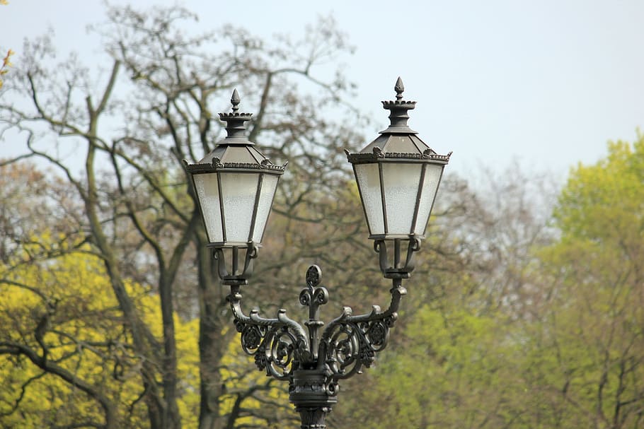 llanterna, Berlín, arquitectura, carretera, fanal, històricament, arbre, dia, a l'aire lliure, centrar-se en primer pla, cap gent, naturalesa, llum del carrer, equips d’il·luminació, carrer, llum de gas, planta, estil retro, cel, metall, antiguitat, llum elèctrica, primer pla, cel clar, vista d’angle baix, ferro forjat, 5K
