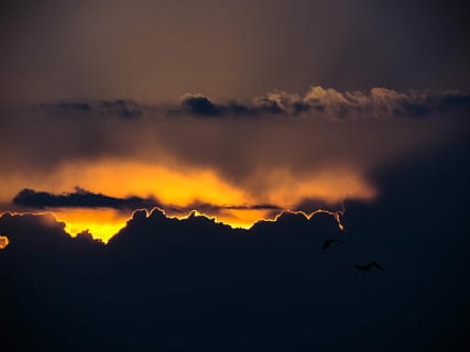 jam emas, fotografi siluet, awan, awan - langit, langit, bayangan hitam, pembakaran, keindahan di alam, alam, lingkungan Hidup, matahari terbenam, scenics - alam, api, penerbangan, tidak ada orang, tanda peringatan, suhu panas, di luar rumah, binatang di alam liar, tanda, api - fenomena alam, hewan, malam, 4K, CC0, domain publik, bebas royalti