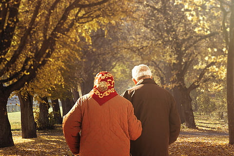 park, walk, torque, couple, oldies, hiking, nature, trees, parks, walking path, avenue, sunlight, resting place, relaxation, city park, men, two people, togetherness, adult, males, senior adult, tree, senior men, rear view, casual clothing, bonding, senior women, love, plant, women, emotion, positive emotion, couple - relationship, senior couple, outdoors, wife, arm around, 4K, CC0, public domain, royalty free