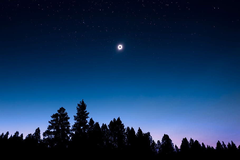 lunar, eclipse, Visão, período noturno, foto da silhueta, alta, arvores, papel de parede, papéis de parede legais, fundos legais, Estrela, céu, floresta, espaço, silhueta, panorama, natureza, skyline, sol buraco negro, lua, noite, árvore, beleza na natureza, plantar, estrela - espaço, scenics - natureza, azul, astronomia, cena tranquila, tranquilidade, ninguém, terra, lua cheia, crescimento, ao ar livre, luar, Pinheiro, árvore conífera, 2K