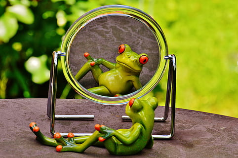 frog, sitting, front, mirror, mirror image, mirroring, cute, funny, fun, figure, sweet, green Color, food, healthy eating, food and drink, fruit, wellbeing, vegetable, freshness, container, apple - fruit, no people, pepper, basket, yellow, close-up, table, still life, day, organic, focus on foreground, ripe, 5K, CC0, public domain, royalty free