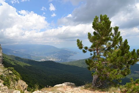 paisatge, cel, núvol, arbre, horitzó, a l'aire lliure, yalta, naturalesa, viatjar, bonic, terra, camp, medi ambient, natural, dia, primavera, estiu, núvol - cel, muntanya, escenics - natura, planta, bellesa a la natura, escena tranquil·la, tranquil·litat, escena no urbana, creixement, idíl·lic, cap gent, Serra, pi, arbre de coníferes, 4K, CC0, domini públic, lliure de regalies