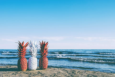 Trei, roșu, alb, ananasul, mare, ananas, apus de soare, fruct, plajă, vară, Canada, valuri, nisip, ocean, apă, lac, cer, orizontul peste apă, teren, orizont, natură, scenice - natura, frumusețe în natură, liniște, albastru, nici o persoana, zi, o scenă liniștită, idilic, spațiu copie, în aer liber, vacanţă, 5K, CC0, domeniu public, fără drepturi de autor