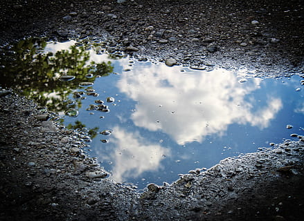 puddle, water, reflection, clouds, blue, wet, nature, no people, sky, plant, tree, day, lake, cloud - sky, high angle view, outdoors, beauty in nature, standing water, tranquility, solid, rain, 4K, CC0, public domain, royalty free