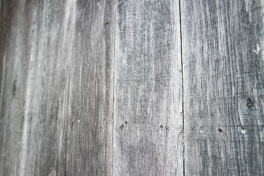 fusta, casa de l'arbre, arbre, fons, textura, material de fusta, patró, marc complet, resistent, cap gent, primer pla, aspre, gris, vell, dia, tauler, gra de fusta, a l'aire lliure, ratllat, funció de construcció de parets, resum, esquerdat, efecte texturat, color plata, en blanc, 2K