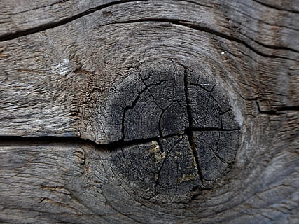 textura, fons, capa, disseny, arbre, fusta, nus, anell, crack, tauler, pissarra, resistent, naturalesa, vell, material de fusta, marró, patró, aspre, primer pla, esquerdat, material, elefant, cap gent, marc complet, part del cos dels animals, temes d'animals, un animal, animal, pell d’animals, mamífer, dia, animals a la natura, arrugat, patró natural, fauna animal, elefant africà, cap d’animals, efecte texturat, ull d’animals, 4K, CC0, domini públic, lliure de regalies