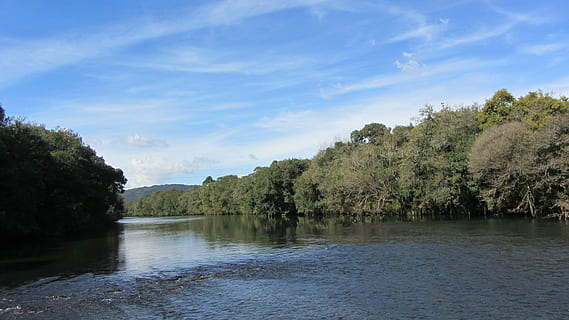 urubici, riu, arbres, aigua, cel, tranquil·litat, naturalesa, núvol - cel, cap gent, arbre, planta, escenics - natura, escena tranquil·la, bellesa a la natura, escena no urbana, dia, reflexió, davant del mar, creixement, color verd, a l'aire lliure, 4K, CC0, domini públic, lliure de regalies