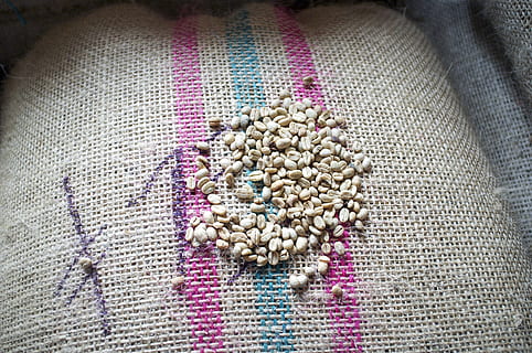 cafè, mongetes, crua, arabica, cafè, mongetes, sense torrar, fresc, colombia, cafeteria, tèxtil, teixit, estora, a l'interior, vista d’angle alt, cap gent, menjar i beguda, gran grup d'objectes, sac, natura morta, menjar, benestar, espècia, jute, abundància, frescor, alimentació saludable, ingredient, mongeta, primer pla, directament a sobre, llavor, 4K, CC0, domini públic, lliure de regalies