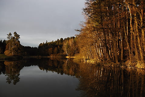 Teich, Oberfläche, Sonnenuntergang, Reflexion, Bäume, Wald, Rand des Teiches, Stausee, kačerovec, ledenice, Wasser, See, Baum, stehendes Wasser, keine Leute, Pflanze, Ruhe, Schönheit in der Natur, Ufergegend, Himmel, Szenen - Natur, ruhige Szene, Natur, Wachstum, Nicht-städtische Szene, idyllisch, draußen, Reflexionssee, 4K, CC0, gemeinfrei, lizenzfrei