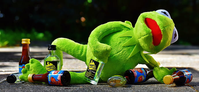 verd, granota, felpa, joguina, kermit, beure, alcohol, borratxo, descans, seure, figura, divertit, granotes, animal, animal de peluix, color verd, cap gent, naturalesa, representació animal, multicolor, a l'aire lliure, representació, centrar-se en primer pla, primer pla, planta, dia, conservació del medi ambient, creativitat, qüestions ambientals, menjar i beguda, art i artesania, material de fusta, plàstic, 5K, CC0, domini públic, lliure de regalies