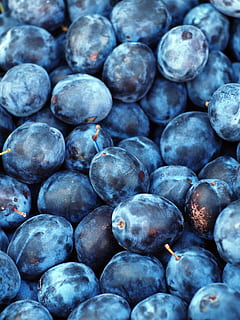 Brombeeren Foto, Brombeeren, Foto, Pflaume, Obst, Textur, Blau, lila, Süss, Pflanze, frisch, gesundes Essen, Essen und Trinken, Frische, Lebensmittel, keine Leute, Wohlbefinden, Vollbild, Fülle, Hintergründe, große gruppe von gegenständen, Nahansicht, Stillleben, Blaubeere, Beerenfrucht, selektiver Fokus, drinnen, Haufen, Verkauf, reif, 2K, CC0, gemeinfrei, lizenzfrei