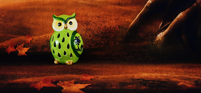 Owl, Ceramic, Decoration, Forest, Animal, funny, cute, deco, no people, domestic cat, night, indoors, anthropomorphic face, animal themes, representation, animal representation, art and craft, creativity, nature, one animal, leaf, land, celebration, plant part, halloween, mammal, green color, close-up, day, plant, outdoors, 5K, CC0, public domain, royalty free