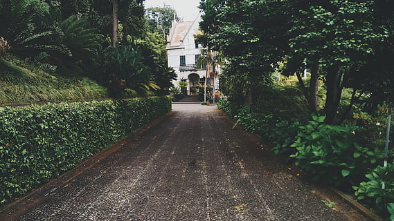 beton, weg, wit, Verdiepingenwoning, bomen, dag, groen, doorbladerd, zwart, pad, boom, huis, haag, tuin-, buitenshuis, voetpad, natuur, straat, geen mensen, de weg vooruit, groei, fabriek, richting, ingebouwde structuur, architectuur, buitenkant van het gebouw, perspectief verminderen, gebouw, groene kleur, stad, vervoer, verdwijnpunt, lang, steeg, 2K, CC0, publiek domein, royaltyvrij