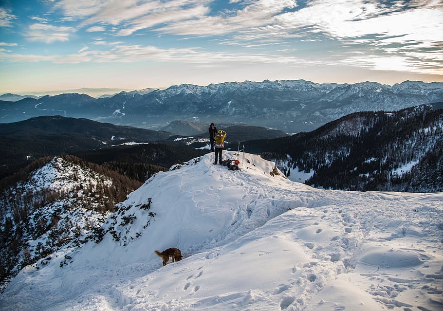 fred, neu, muntanyes, naturalesa, animal, núvols, gos, medi ambient, petjades, alt, excursionistes, senderisme, gelada, idíl·lic, alpinista, Serra, pacífica, gent, paisatge, escènic, cel, nevat, tranquil, arbres, trekking, vall, vista, temps, hivern, muntanya, temperatura de fred, escenics - natura, bellesa a la natura, una persona, muntanya nevada, aventura, esport, núvol - cel, esport d'hivern, activitat d'oci, a l'aire lliure, cim de muntanya, 5K