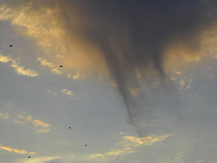 nube, tempo metereologico, atmosfera, strano, pioggia, volante, mezz'aria, uccello, temi animali, nuvola - cielo, animali allo stato selvatico, cielo, vertebrato, animale, natura, tramonto, gruppo di animali, Inquadratura dal basso, fauna selvatica, bellezza nella natura, scenics - natura, silhouette, nessuno, la tranquillità, la libertà, all'aperto, Stormo di uccelli, 720P, CC0, dominio pubblico, privo di copyright