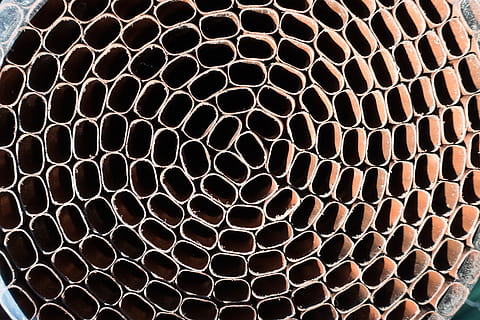 Structure, Concentric, Pattern, Oval, about, form, abstract, center, role, texture, fund, background, backgrounds, close-up, honeycomb, full frame, no people, hexagon, geometric shape, design, shape, textured, repetition, day, outdoors, natural pattern, metal, nature, arrangement, brown, 5K, CC0, public domain, royalty free