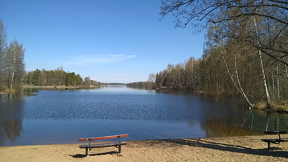 bench, lake, spring, sky, water, tree, plant, tranquility, tranquil scene, beauty in nature, nature, no people, scenics - nature, day, reflection, seat, non-urban scene, idyllic, beach, sunlight, outdoors, park bench, 4K, CC0, public domain, royalty free