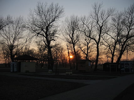 solnedgång, park, träd, trän, grenar, solnedgång, parkera, mörk, silhuetter, orange, glöder, lysande, Sol, stjärna, kväll, skymning, soluppgång, gryning, morgnar, vägar, gångväg, byggnader, natur, utomhus, natt, nakna träd, inget folk, byggnad exteriör, byggd struktur, arkitektur, himmel, växt, stad, byggnad, gata, silhuett, hus, gatubelysning, transport, väg, 1080P, CC0, offentligt domän, royaltyfria