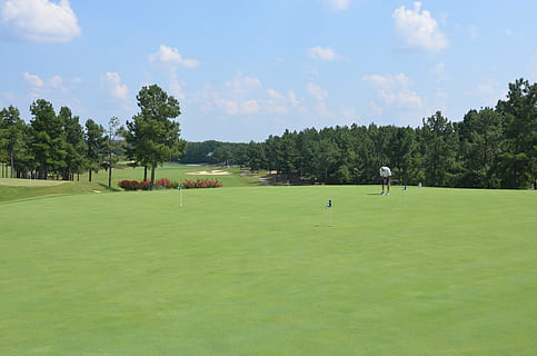 le golf, cours, en mettant, vert, golfeur, la nature, ciel, paysage de parcours de golf, des arbres, jouer au golf, entraine toi, recours, plante, sport, couleur verte, arbre, terrain de golf, activité, Activité de loisir, herbe, journée, green - parcours de golf, en jouant, Vrais gens, prendre une photo - sport, nuage - ciel, modes de vie, sportif, personnes, en plein air, 4K, CC0, domaine public, libre de droits