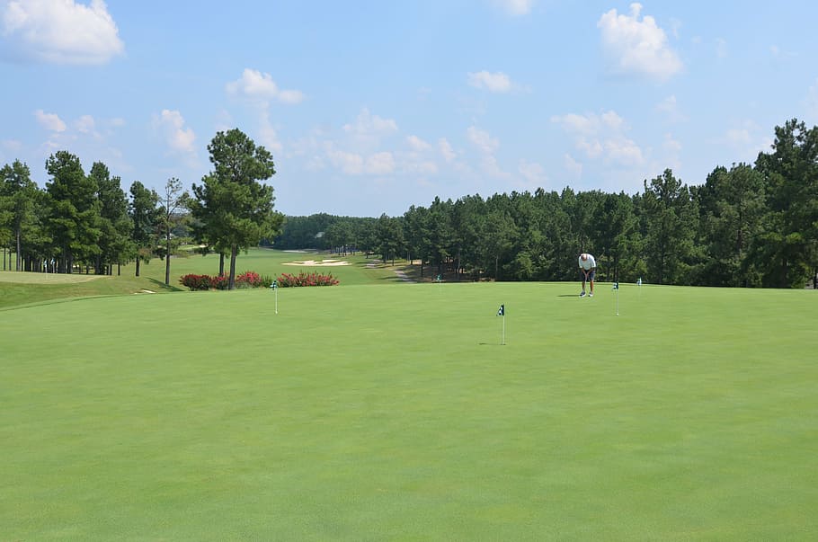 Golf, Kurs, Putten, Grün, Golfspieler, Natur, Himmel, Golfplatz Landschaft, Bäume, Golfen, trainieren, Resort, Pflanze, Sport, grüne Farbe, Baum, Golfplatz, Aktivität, Freizeitbeschäftigung, Gras, Tag, Grün - Golfplatz, spielen, echte Menschen, schuss machen - sport, wolke - himmel, Lebensstile, Sportler, Menschen, draußen, 4K