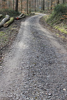 departe, pădure, calea pădurilor, copaci, natură, peisaj, bandă, traseu, drumeții, cale comercială, traseu natural, idilic, mers pe jos, pista de biciclisti, direcţie, transport, calea de urmat, plantă, nici o persoana, zi, drum, murdărie, copac, teren, cărare, drum noroios, în aer liber, diminuarea perspectivei, liniște, creştere, camp, iarbă, punct de disparitie, suprafață, 5K, CC0, domeniu public, fără drepturi de autor