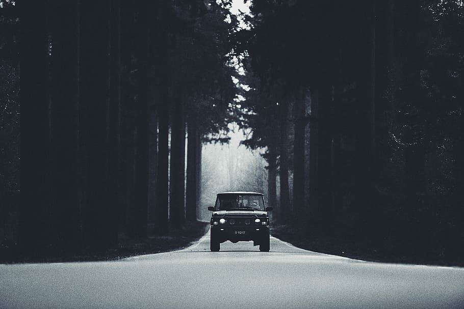 negre, cotxe, arbres, vehicle, carretera, bosc, arbre, humor, fusta, centre, conduir, passatge, viatge, viatjar, aventura, 4wd, frontal, paisatge, Range Rover, clàssic de guarderia, rover classic, defensor, transport, planta, el camí a seguir, direcció, manera de transport, neu, hivern, temperatura de fred, vehicle terrestre, naturalesa, automòbil, cap gent, carrer, moviment, ciutat, nevar, 2K