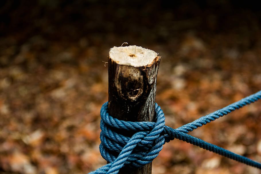 marró, corbata de corda, tronc de fusta, poc profund, focalitzar la fotografia, blau, corda, branca d'un arbre, força, centrar-se en primer pla, primer pla, cap gent, lligat, dia, connexió, metall, material de fusta, a l'aire lliure, naturalesa, nus lligat, aigua, publicació, terra, vell, seguretat, rovellat, textura, post de fusta, color turquesa, 5K