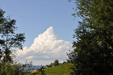wolken, zomer, wolken vorm, zomerwolken, hemel, blauw, natuur, boom, buitenshuis, fabriek, wolk - lucht, schoonheid in de natuur, groei, kalmte, scenics - natuur, rustige scène, dag, groene kleur, geen mensen, niet-stedelijke scène, lage hoekweergave, zonlicht, milieu, gras, landschap, 4K, CC0, publiek domein, royaltyvrij
