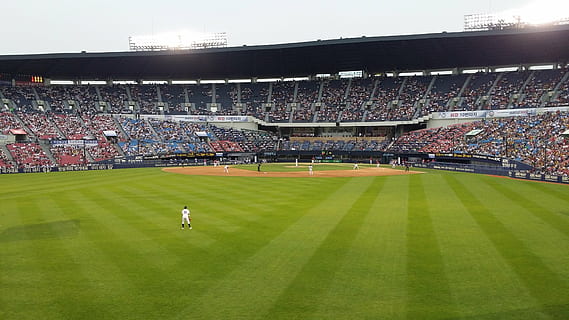 baseball stadion, spillere, baseballbane, folkemengden, gress, sport, stadion, lag sport, gruppe med folk, tilskuer, atlet, fotballbane, konkurranse, publikum, mennesker, spiller, voksen, ball, tilfeldige mennesker, fan - entusiast, grønn farge, Fotball, 4K, CC0, offentlig domene, opphavsrett gratis