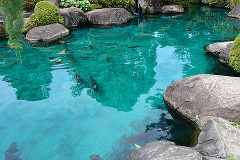 kolam, karper, Kuil, batu, padat, air, batu - benda, tidak ada orang, alam, hari, keindahan di alam, tampilan sudut tinggi, laut, berwarna pirus, tepi laut, ketenangan, di luar rumah, biru, refleksi, scenics - alam, adegan yang tenang, formasi batuan, dangkal, bersih, 2K, CC0, domain publik, bebas royalti