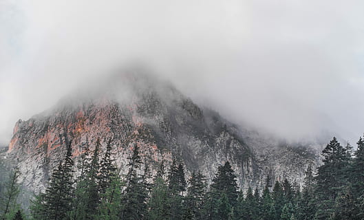 hora, obklopen, les, šedá, zelená, stromy, krajina, strom, borovice, mlha, zataženo, mrak, vrchol, summitu, vysoká sierra, macintosh, mac, jablko, krása v přírodě, scenics - příroda, Příroda, rostlina, klidné scény, přistát, životní prostředí, nebe, mimoměstské scény, klid, nikdo, mrak - nebe, pohoří, venku, borové lesy, jehličnatého stromu, horský vrchol, vždy zelený strom, 4K, CC0, veřejná doména, bez autorských práv