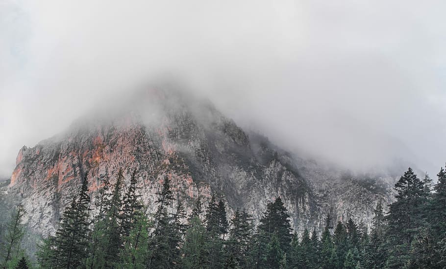 hora, obklopen, les, šedá, zelená, stromy, krajina, strom, borovice, mlha, zataženo, mrak, vrchol, summitu, vysoká sierra, macintosh, mac, jablko, krása v přírodě, scenics - příroda, Příroda, rostlina, klidné scény, přistát, životní prostředí, nebe, mimoměstské scény, klid, nikdo, mrak - nebe, pohoří, venku, borové lesy, jehličnatého stromu, horský vrchol, vždy zelený strom, 4K