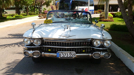 mobil, cadillac eldorado, Kuba, oldtimer, mobil amerika, klasik, kendaraan, 50, putih, metalik, otomotif, angkutan, kendaraan darat, tidak ada orang, hari, di luar rumah, moda transportasi, Kendaraan bermotor, bergaya retro, mobil antik, kota, sinar matahari, menanam, jalan, perlengkapan sekolah, alam, pohon, kemewahan, 4K, CC0, domain publik, bebas royalti