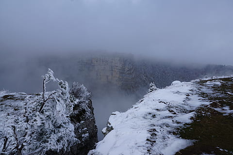 nebbia, inverno, albero, paesaggio, natura, la neve, creux du van, scogliera, nevicata, montagne, bianca, temperatura fredda, ambiente, scenics - natura, bellezza nella natura, montagna, cielo, nuvola - cielo, terra, pianta, acqua, la tranquillità, nessuno, scena tranquilla, all'aperto, montagna innevata, picco di montagna, smog, Pino, 5K, CC0, dominio pubblico, privo di copyright