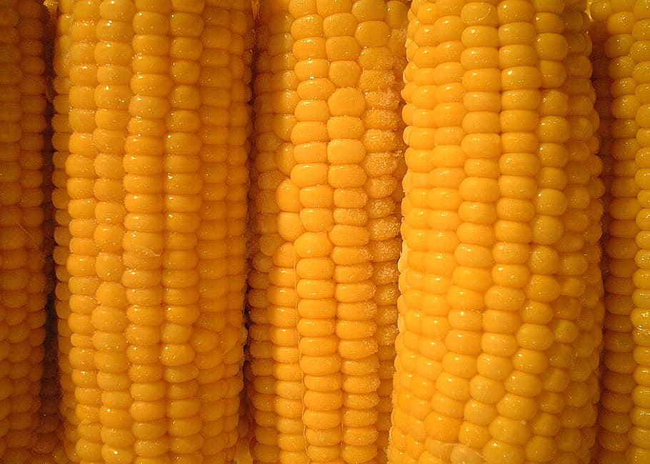 avvicinamento, foto, giallo, calli, Mais, pannocchia, verdure, cibo e bevande, fotogramma intero, sfondi, cibo, verdura, mais dolce, mangiare sano, nessuno, freschezza, benessere, cibo crudo, in casa, ripetizione, modello, colore arancione, mais - coltura, tentazione, 1080P