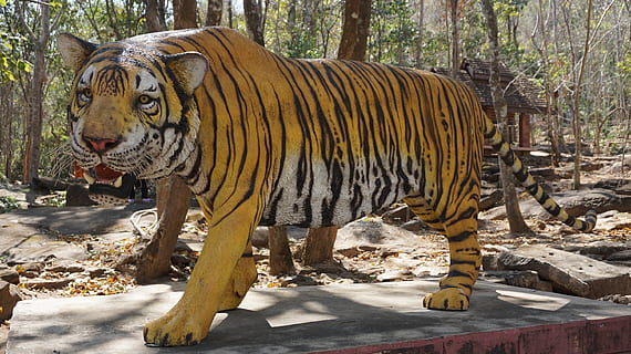 Tiger, Statue, genial, Muster, Reißzähne, Tierthemen, Tier, Säugetier, ein Tier, Tierwelt, große Katze, Tag, Wirbeltier, keine Leute, Natur, Baum, Tiere in freier Wildbahn, katzenartig, draußen, Tiermarkierungen, Sonnenlicht, Katze, Fleischfresser, Zoo, 2K, CC0, gemeinfrei, lizenzfrei