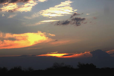 nuvole, sezioni, bianca, arancia, oro, buio, luminosa, tramonto, orizzonte, alberi, cielo, tetro, nuvola - cielo, bellezza nella natura, la tranquillità, scena tranquilla, scenics - natura, silhouette, albero, natura, nessuno, colore arancione, idilliaco, pianta, cielo drammatico, scena non urbana, all'aperto, Inquadratura dal basso, soggezione, ambiente, cielo romantico, 2K, CC0, dominio pubblico, privo di copyright