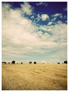 landskab, træer, felter, strå, himmel, blå, gul, bred, skyer, Tyskland, Hesse, jord, miljø, Mark, sky - himmel, rolig scene, ro, skønhed i naturen, plante, landbrug, scenics - natur, landlige scene, automatisk postproduktionsfilter, balle, dag, natur, gård, ingen mennesker, hø, udendørs, 2K, CC0, offentligt domæne, royaltyfrie
